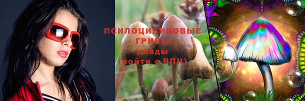 a pvp Алексин