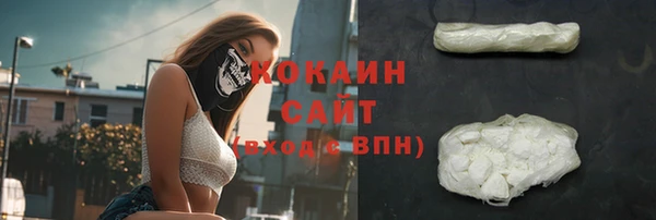 соль ск Алзамай