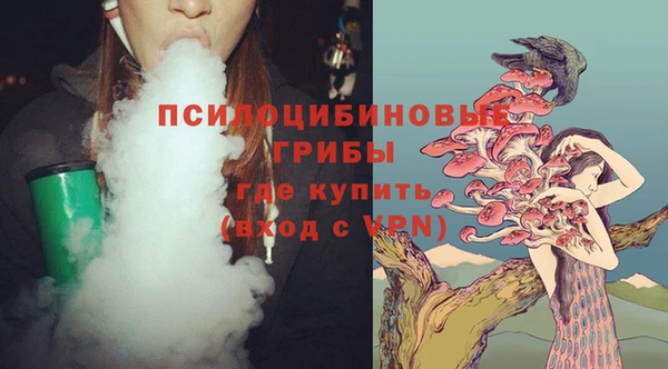 a pvp Алексин